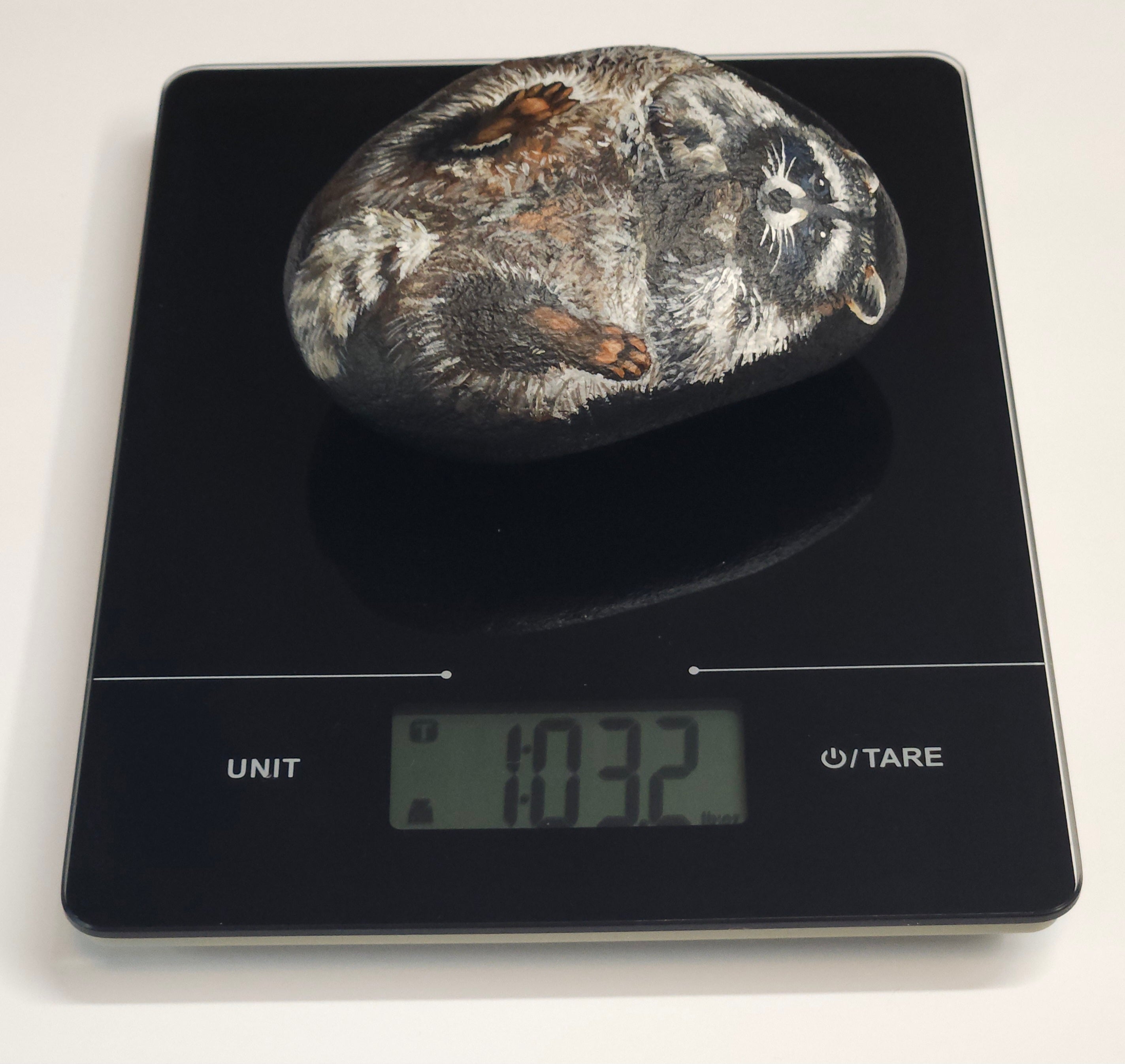 "Raccoon", Painted Rock