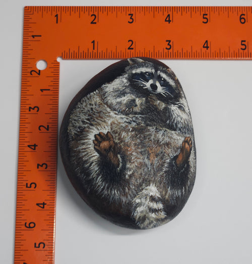 "Raccoon", Painted Rock