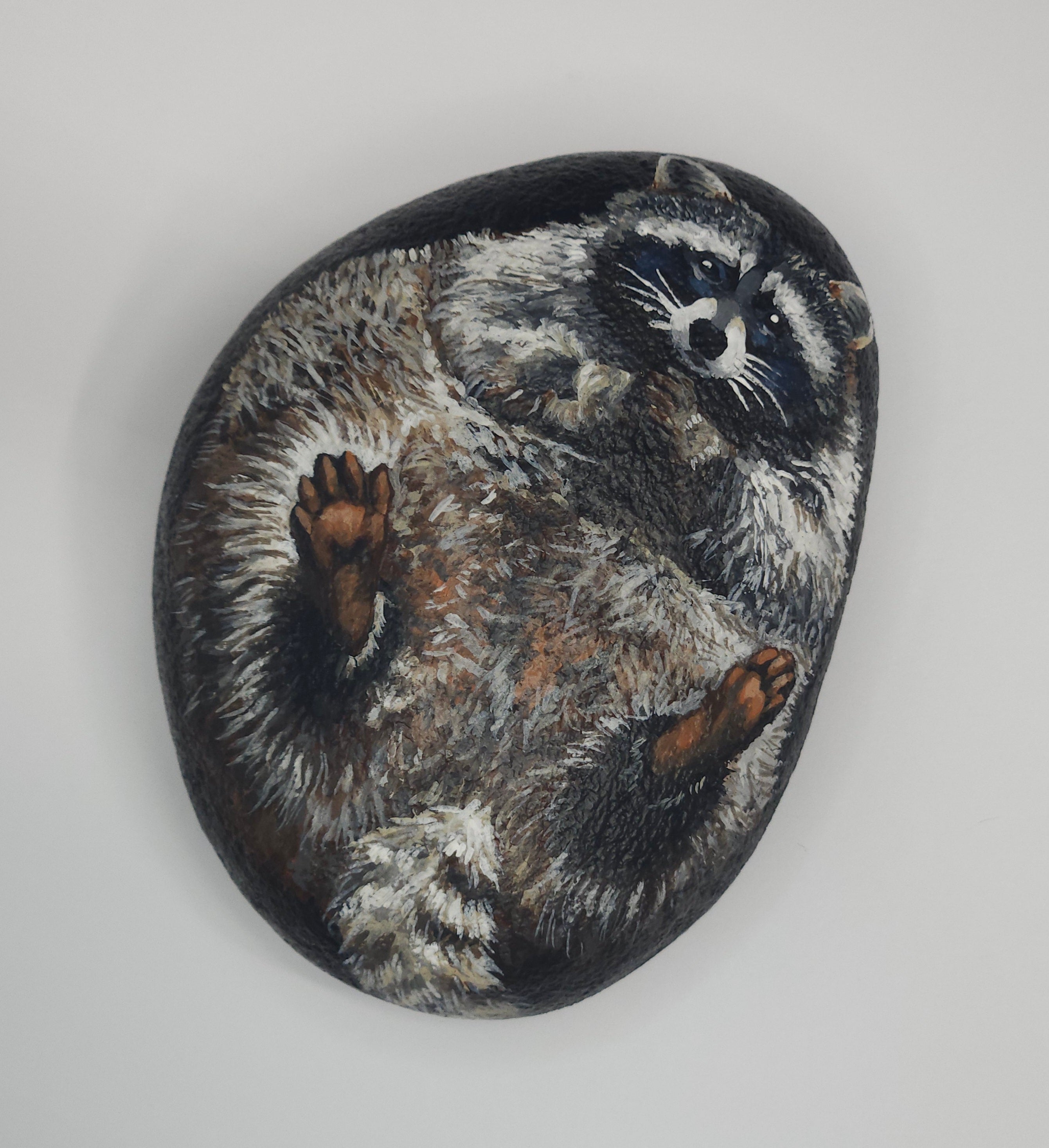"Raccoon", Painted Rock