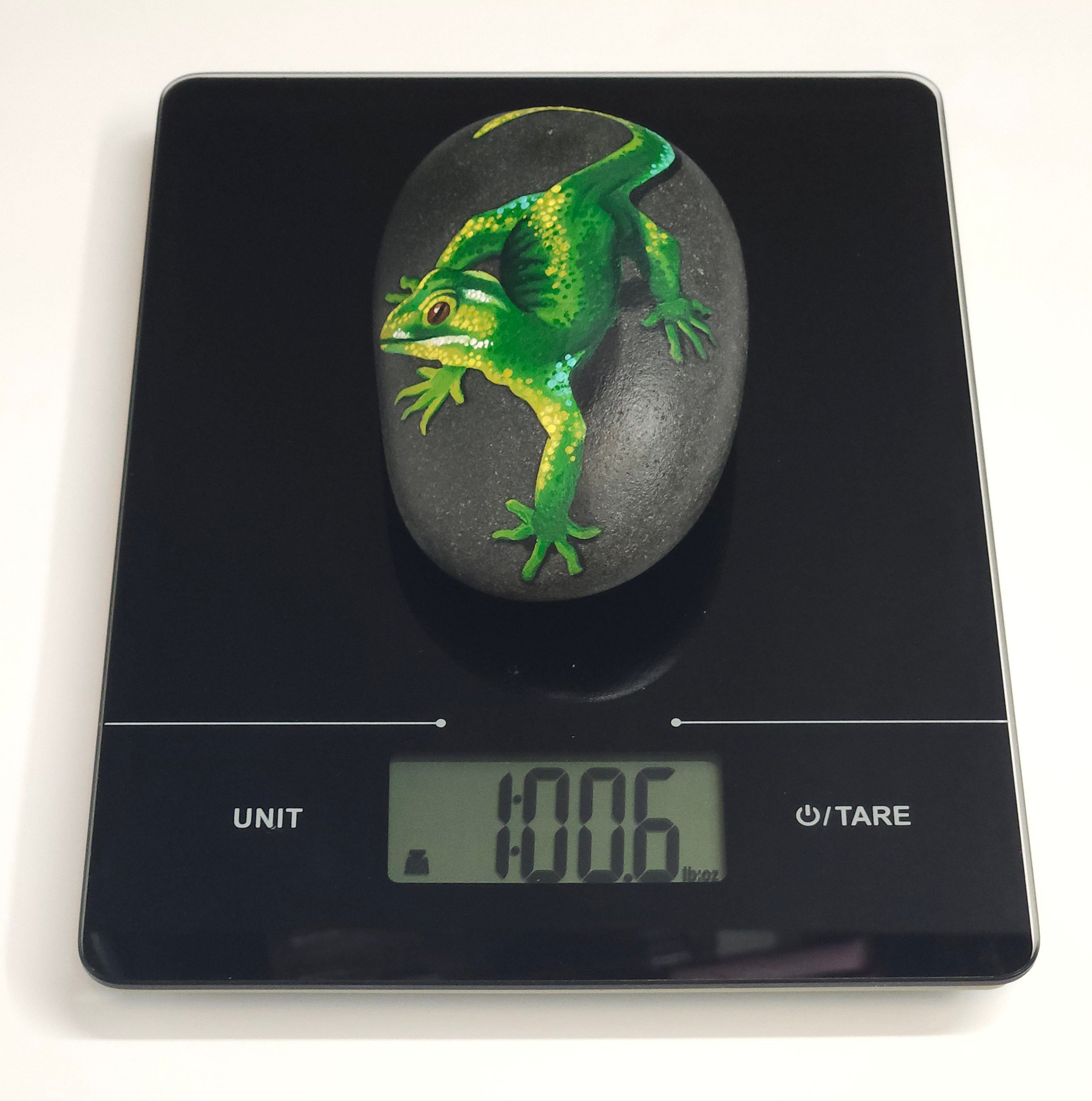 "Gecko", Painted Rock