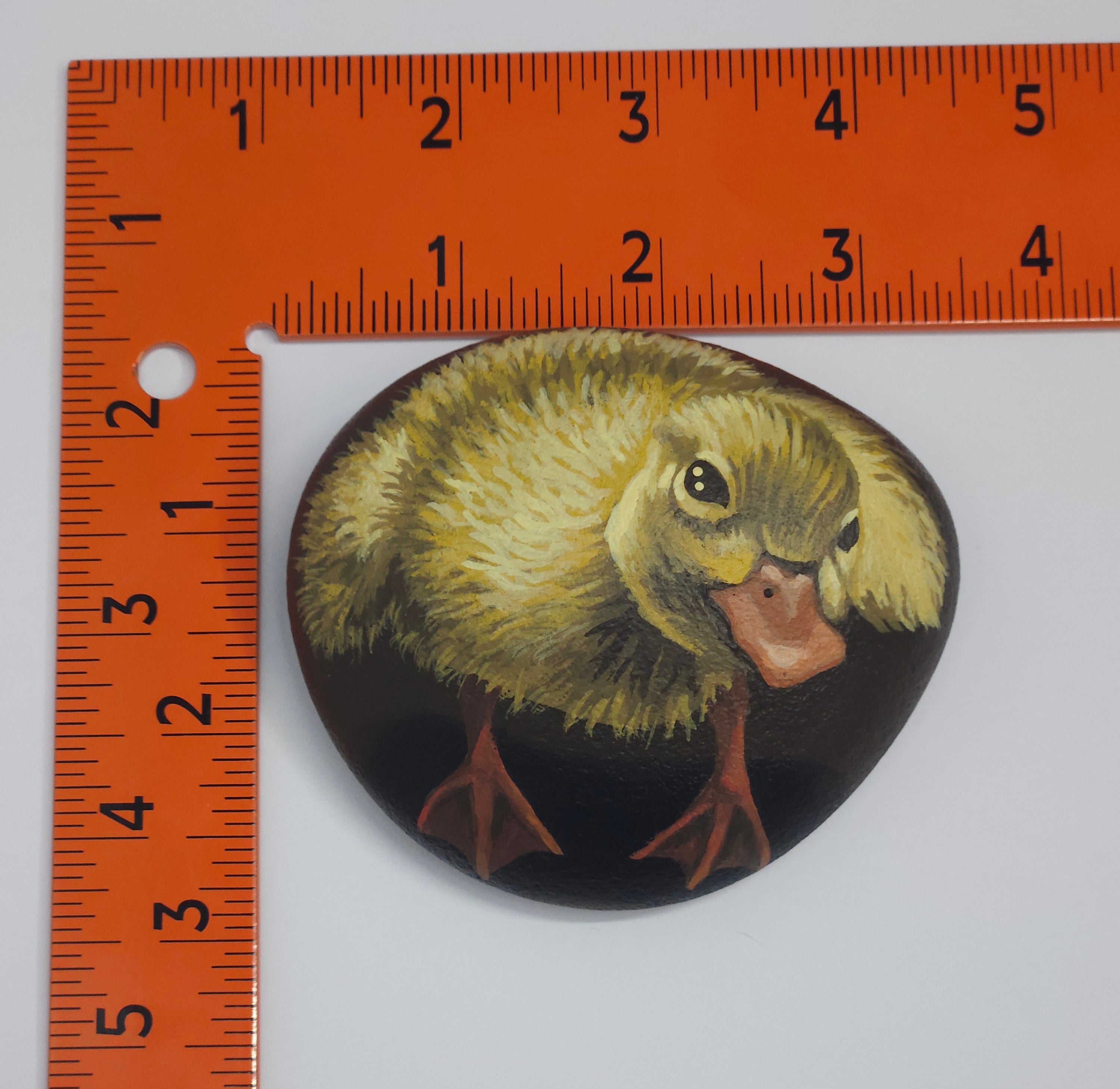 "Duckie", Painted Rock