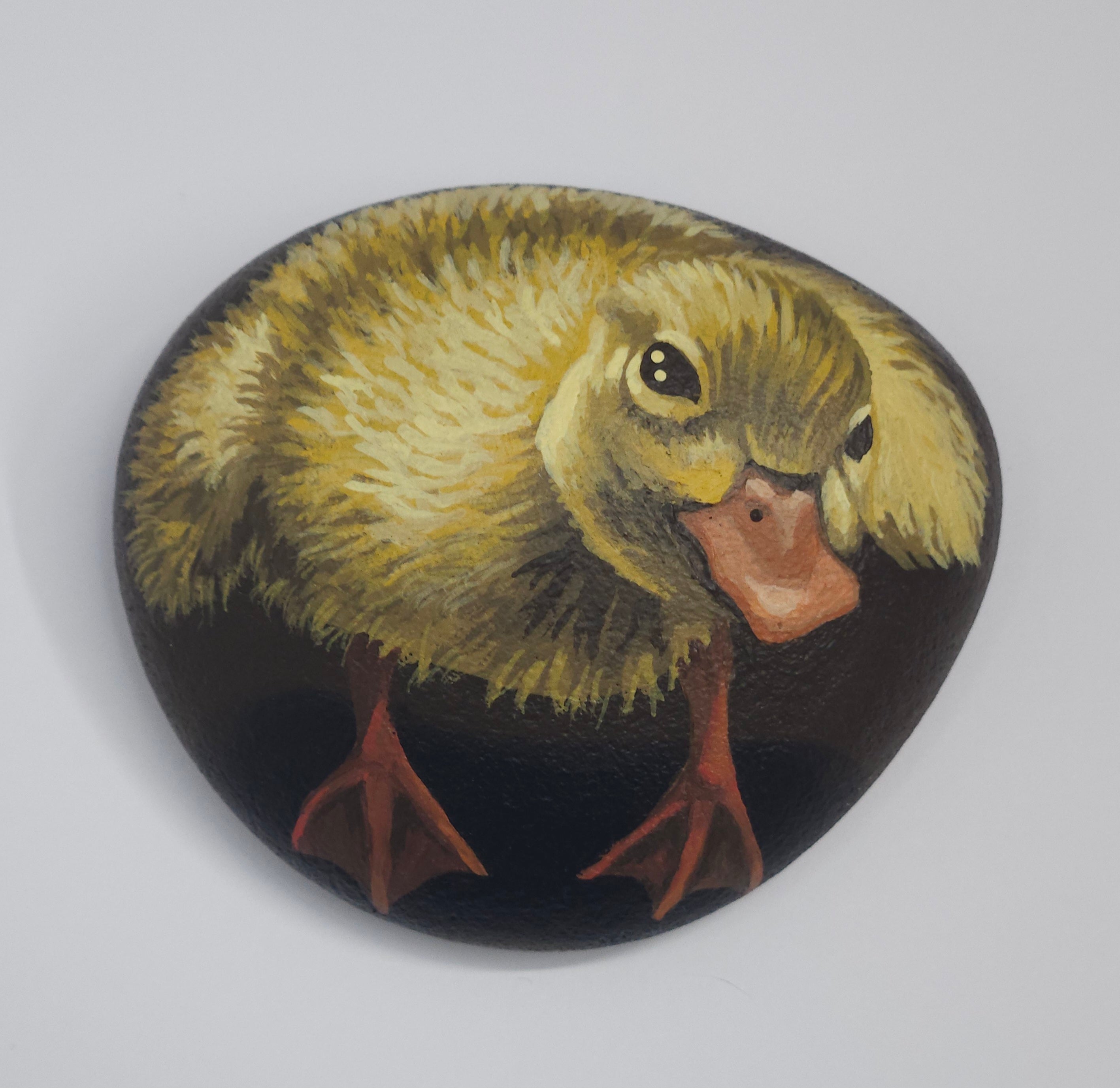 "Duckie", Painted Rock