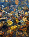 "Whitefish Point Shoreline"